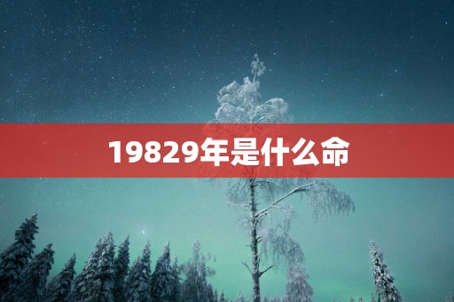 19829年是什么命