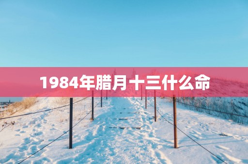 1984年腊月十三什么命