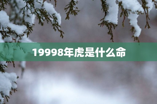 19998年虎是什么命