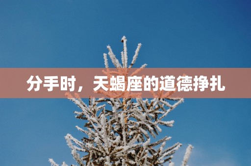 分手时，天蝎座的道德挣扎