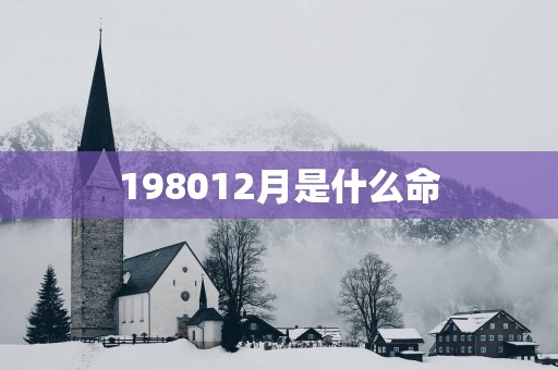 198012月是什么命