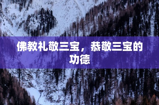 佛教礼敬三宝，恭敬三宝的功德
