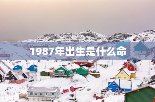 1987年出生是什么命