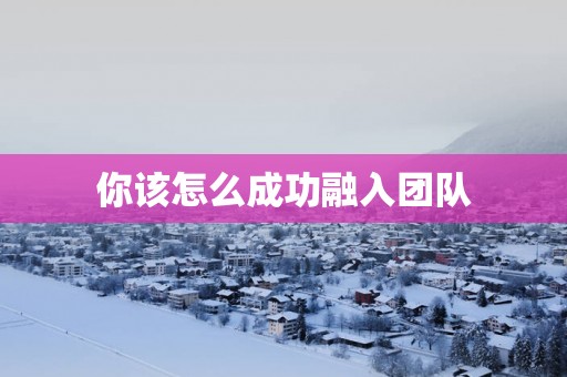 你该怎么成功融入团队