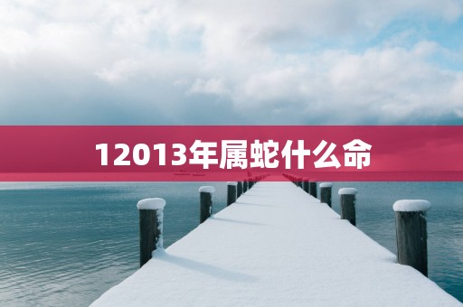 12013年属蛇什么命