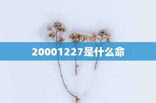 20001227是什么命