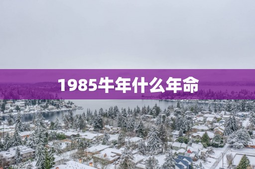 1985蛇年什么年命