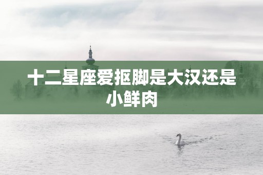 十二星座爱抠脚是大汉还是小鲜肉