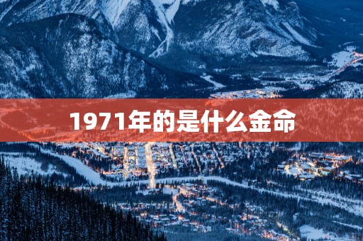 1971年的是什么金命