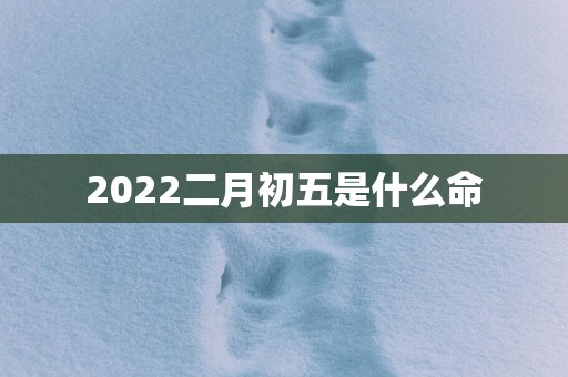 2025二月初五是什么命