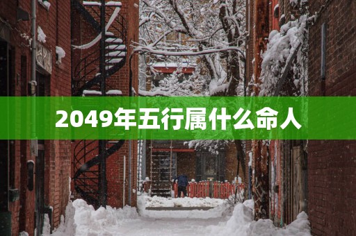 2049年五行属什么命人