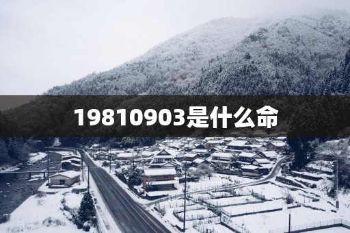 19810903是什么命
