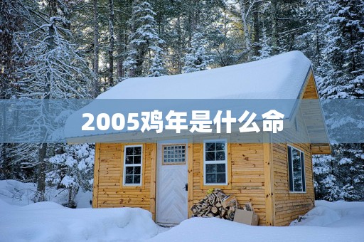 2005鸡年是什么命