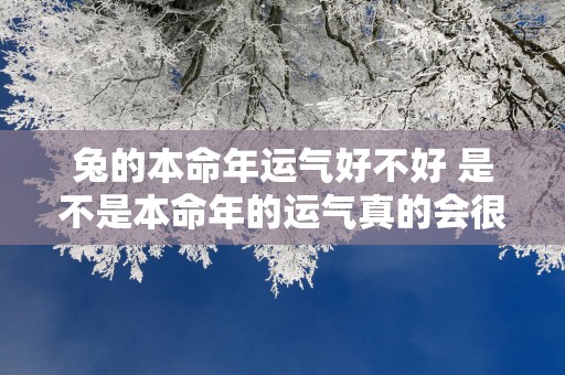 兔的本命年运气好不好 是不是本命年的运气真的会很差