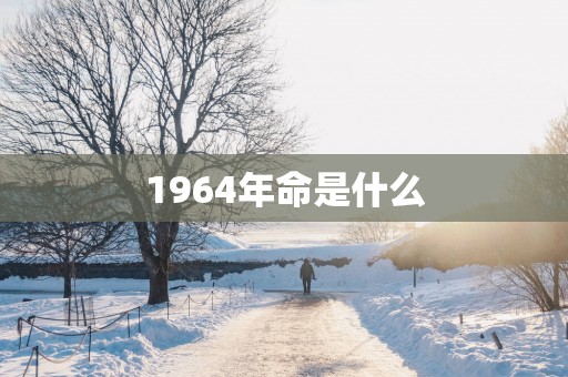 1964年命是什么