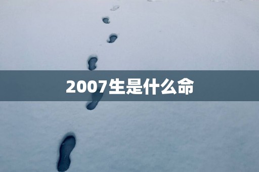 2007生是什么命