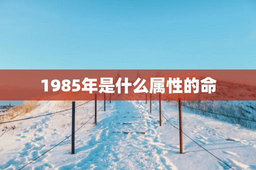 1985年是什么属性的命