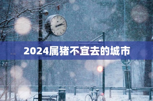 2025属猪不宜去的城市