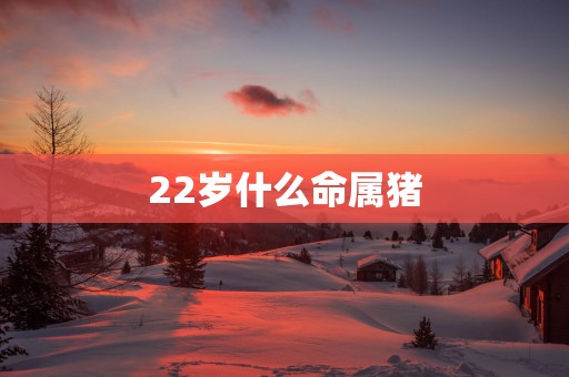 22岁什么命属猪