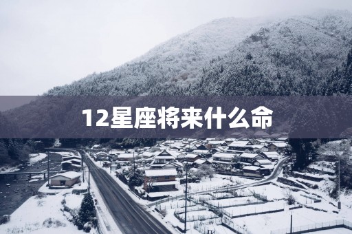 12星座将来什么命