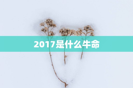 2017是什么牛命