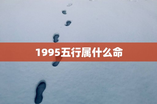 1995五行属什么命