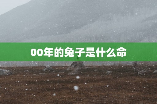 00年的兔子是什么命