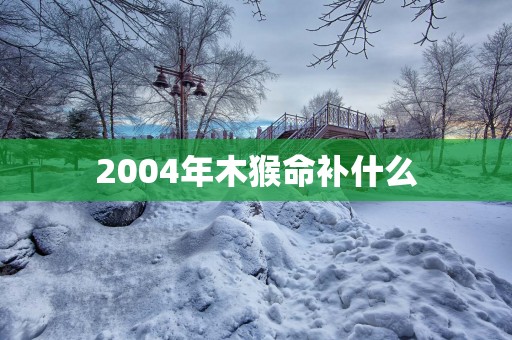 2004年木猴命补什么