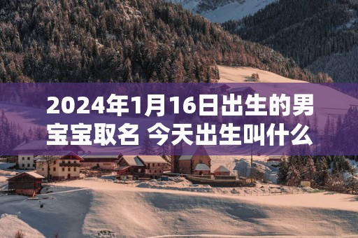 2025年1月16日出生的男宝宝取名 今天出生叫什么名字好