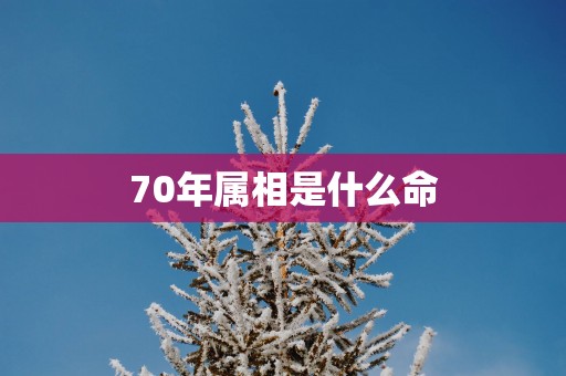 70年属相是什么命