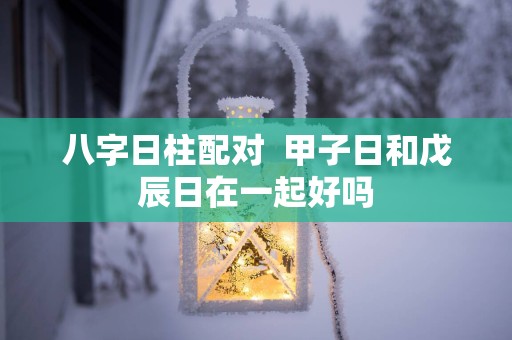八字日柱配对  甲子日和戊辰日在一起好吗