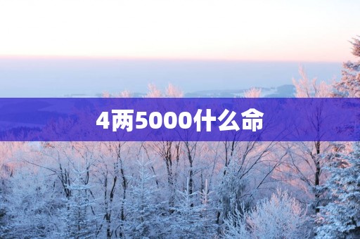 4两5000什么命