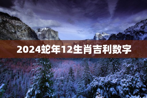 2025蛇年12生肖吉利数字