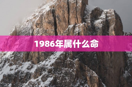 1986年属什么命