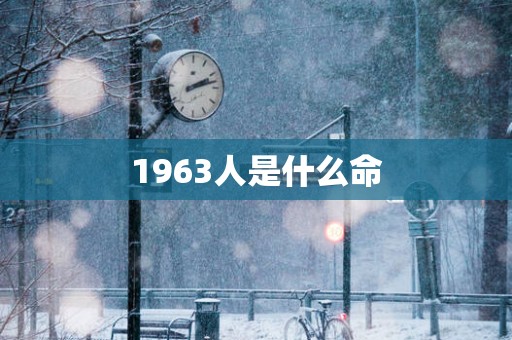 1963人是什么命