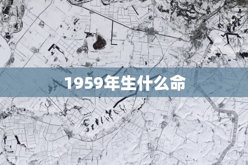 1959年生什么命