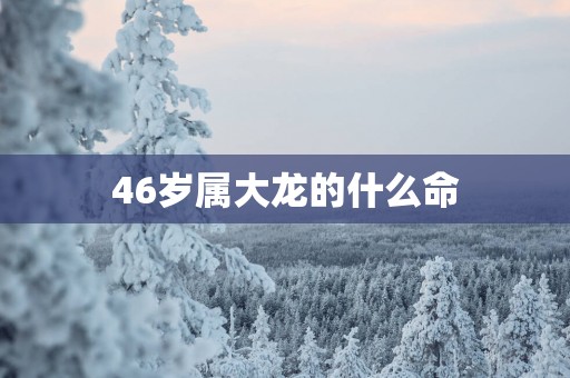46岁属大龙的什么命