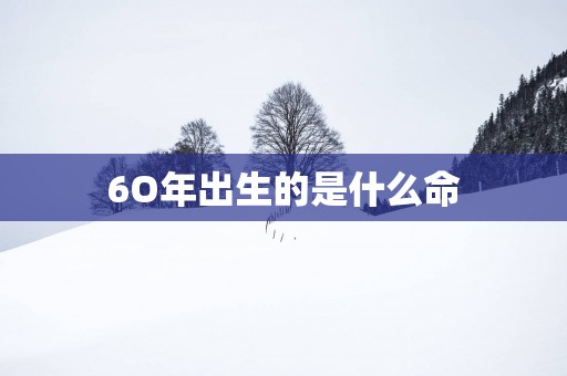 6O年出生的是什么命