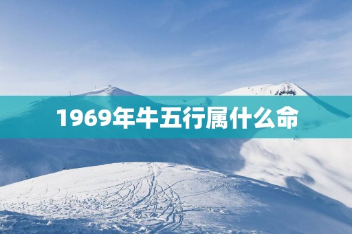1969年牛五行属什么命