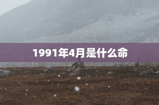 1991年4月是什么命