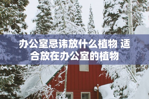 办公室忌讳放什么植物 适合放在办公室的植物