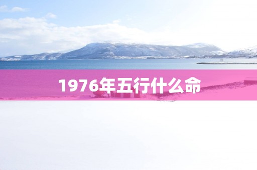 1976年五行什么命