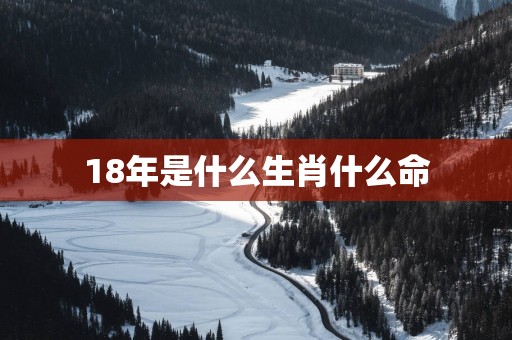 18年是什么生肖什么命