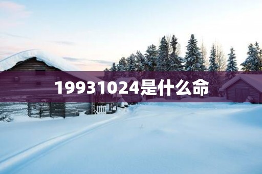 19931024是什么命