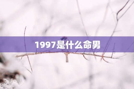1997是什么命男