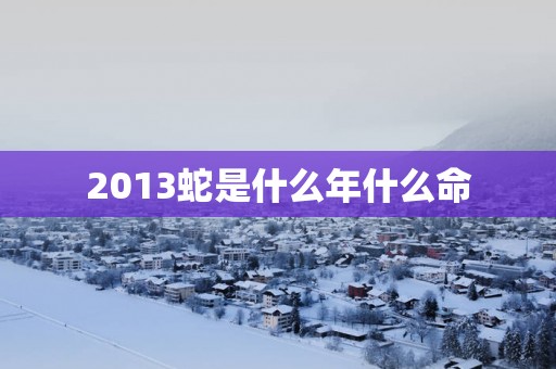 2013蛇是什么年什么命