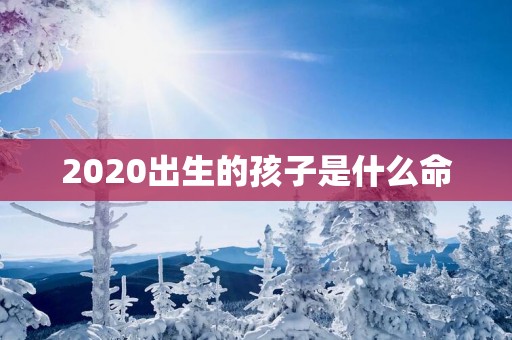 2025出生的孩子是什么命