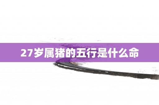 27岁属猪的五行是什么命