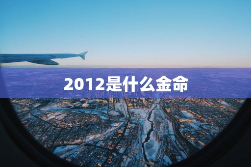 2012是什么金命