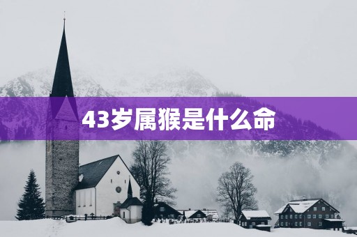 43岁属猴是什么命